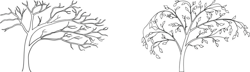 Obraz premium Simple illustrated trees showing seasonal variations between bare branches and leafy foliage