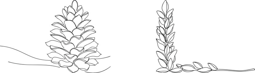 Elegant line art illustration of pine cone and branch for nature theme designs