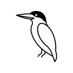 Vector illustration of Kingfisher line art