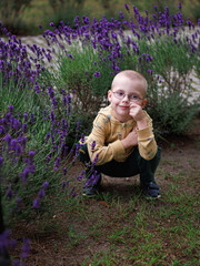 Thoughtful, intrigued preschool boy with glasses squats in a park among lavender flowers, purple,...