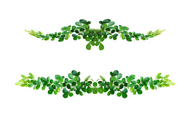 green leaves frame on white, Fresh green plant leaves frame a white background, perfect for a natural spring design