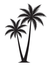 palm tree silhouette