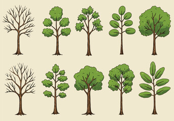 Obraz premium Set of tree and leaf collection hand drawn flat design vector element. botanical set of bare trees and ones with leaves and lush green