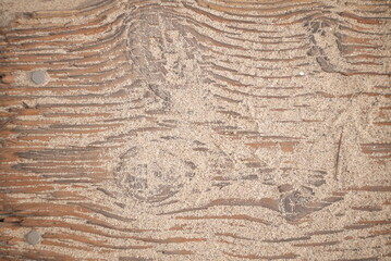 Fototapeta premium abstract wood pattern