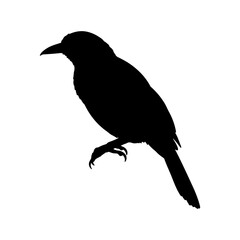 Obraz premium Yellow rumped cacique silhouette icon vector flat design on white background