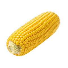 corn isolated on white background