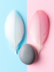 Two soft feathers and a smooth gray stone arranged on pink and blue background, evoking themes of gender, unity, and emotional duality.