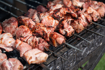 Traditional shashlik on skewers over charcoal