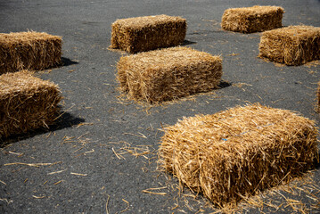 Straw bale installation on city street during street fair