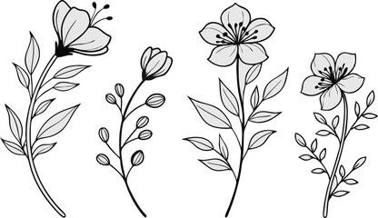 Minimal Botanical graphic sketch drawing, trendy tiny tattoo design, floral elements minimalist black and white vector illustration of five elegant botanical sketches.