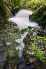 Long exposure picture  in a beautiful waterfall called Surjentziak in Arantzazu (Oñati - Basque Country)