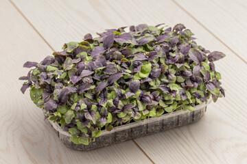 A tray of mixed microgreens with purple and green leaves on a wooden surface.