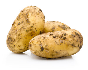 Three new potatoes stained with soil isolated on white background