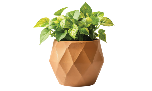 Terracotta clay pot, geometric planter isolated on transparent or white background, clipping path ,png 