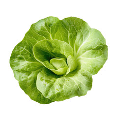 One Leaf Of Butterhead Lettuce  isolated on a transparent background