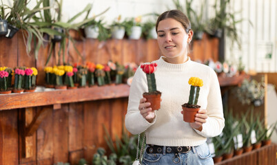 Young woman choosing decorative cacti in a garden store