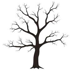 Fototapeta premium Silhouette of leafless tree with intricate branches against transparent background, evoking sense of simplicity and elegance