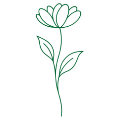 Fototapeta premium vector illustration of a flower