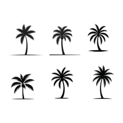 Fototapeta premium palm tree black and white