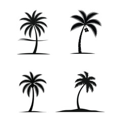 palm tree black and white