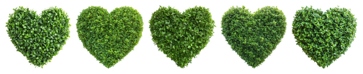 Obraz premium PNG Heart-shaped green foliage art, element set on transparent background