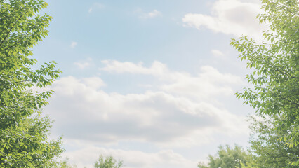 하늘 구름 나무 여름 풍경 사진 배경 이미지