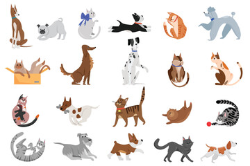 Cute funny cartoon domestic pets characters flat vector illustration. Different breed of cats and dogs walking, playing and posing.
