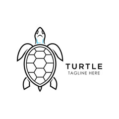 Fototapeta premium Turtle Logo Design