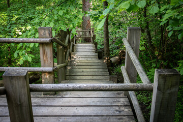 Wooden Forest Pathway with Handrails Surrounded by Green Trees in Natural Park