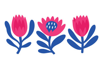 Three protea flowers naive flat vector illustration