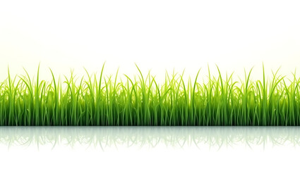 Fototapeta premium Green grass border on white background