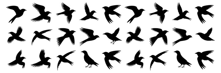 Flying wild animal and bird silhouettes, a vector set of nature's icons with wings against the sky