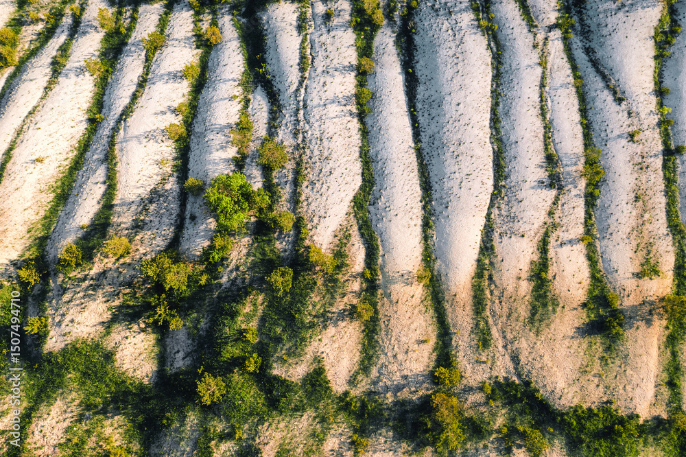 Poster an ancient shift of the earth crust with pronounced soil erosion. area with chalk deposits.