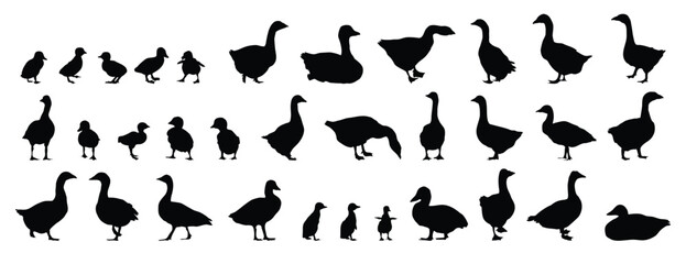 goose and gosling silhouette set. goose and gosling isolated farm animal silhouette icon vector collection