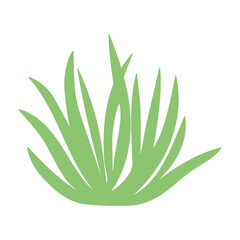 Fragments of green grass. A set of isolated bundles of grass.