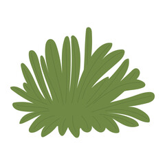 Fragments of green grass. A set of isolated bundles of grass.