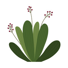 Fragments of green grass. A set of isolated bundles of grass.