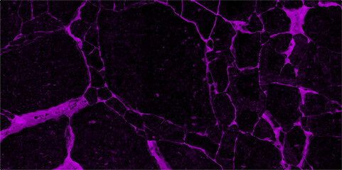 Marble seamless glitter texture background, counter top view of tile stone floor in natural pattern. Abstract crack wall design on black.  Counter top view of natural tiles stone in seamless glitter.