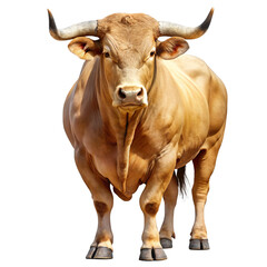Naklejka premium cow isolated on white