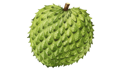 Watercolor Vector Of A Soursop Fruit With A Lush Green Skin Featuring Soft Textures Embodying A Fresh And Natural Aesthetic On A Clean Backdrop
