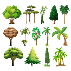 set of vector trees