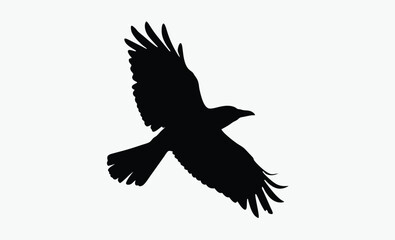 Crow Bird Silhouette Vector
