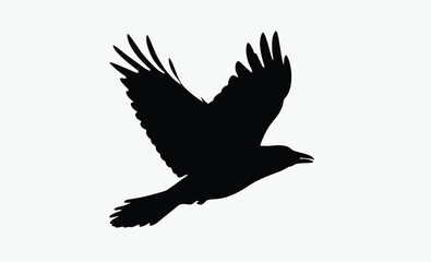 Crow Bird Silhouette Vector