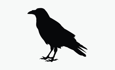 Crow Bird Silhouette Vector