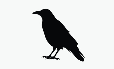 Crow Bird Silhouette Vector