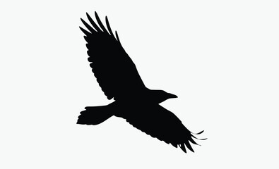 Flying Crow Silhouette Vector