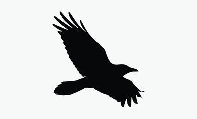 Flying Crow Silhouette Vector