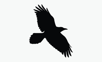 Flying Crow Silhouette Vector