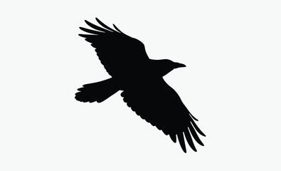 Flying Crow Silhouette Vector