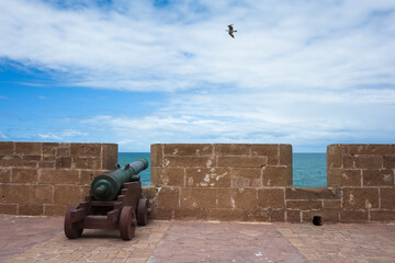 An 18th-century Portuguese cannon stands guard on Rempart Mogador ancient walls in Essaouira, aimed seaward. A lone seagull flies past this relic of colonial history overlooking the Atlantic